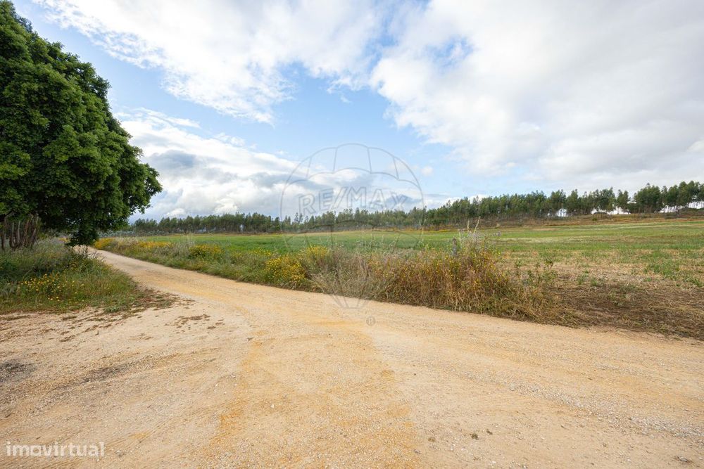 Terreno  para venda