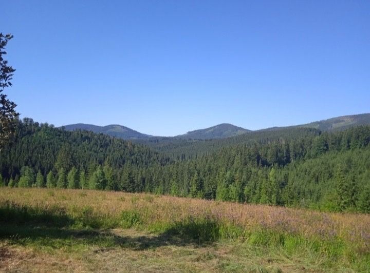 Продаж земельної ділянки під забудову с Вишків