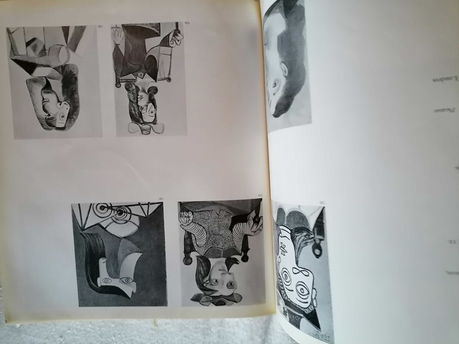Raro Livro Homenage a PABLO PICASSO France 1966 Desrnas Ilustrações c/ 510 Páginas