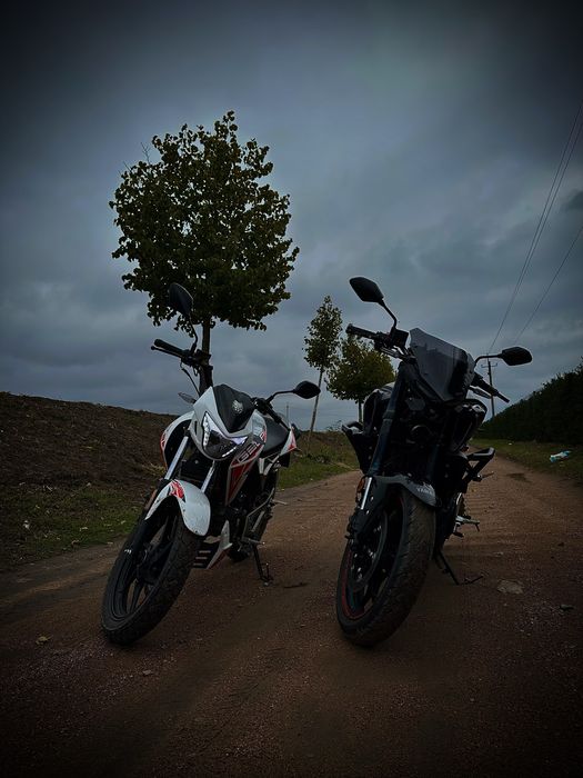 Geon pantera 250