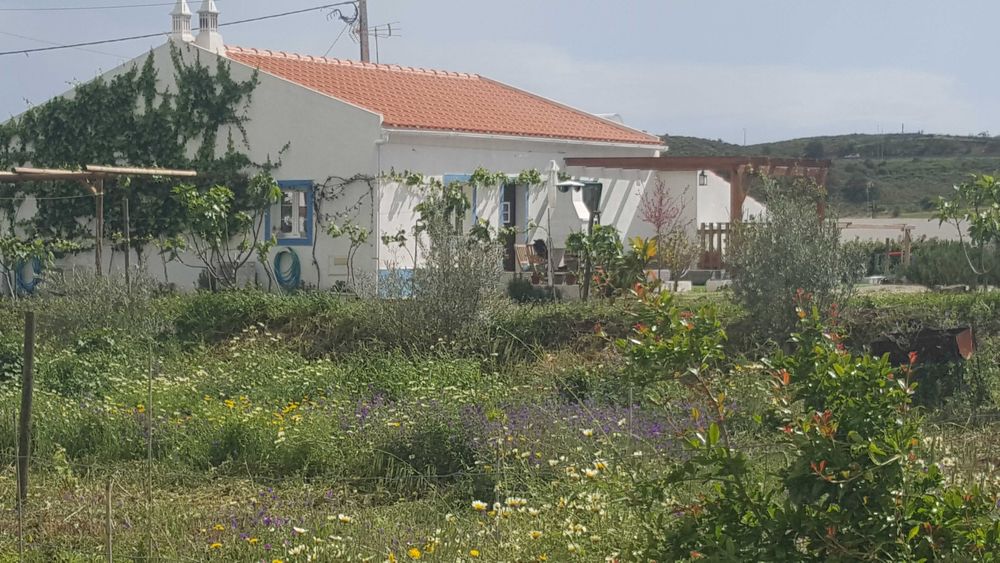 casa tradicional algarvia