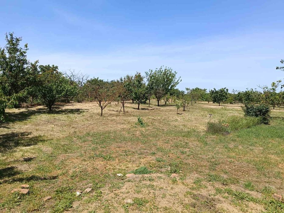 Продам екодім в Одесі Троїцке берег Дністра