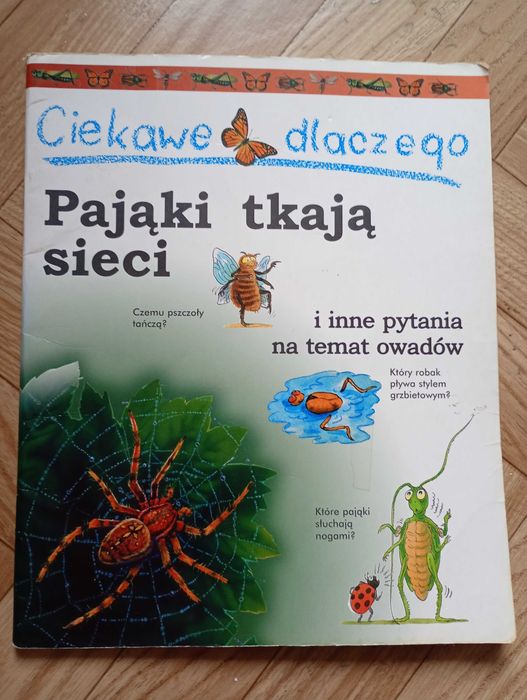 ,,Ciekawe dlaczego pająki tkają sieć"
