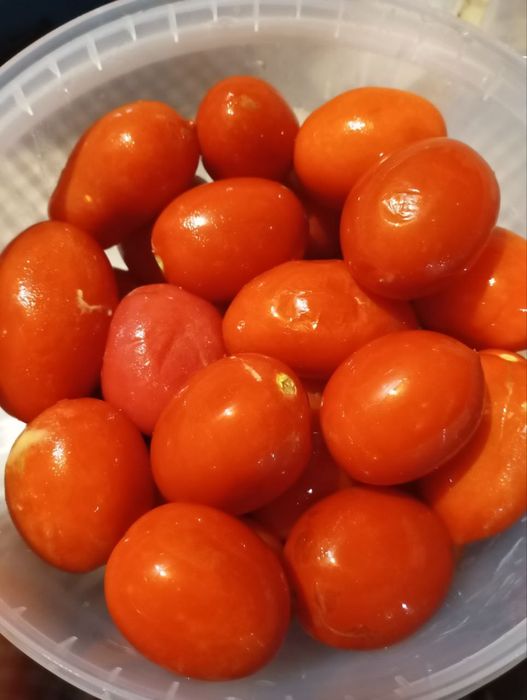 Квашені помідори