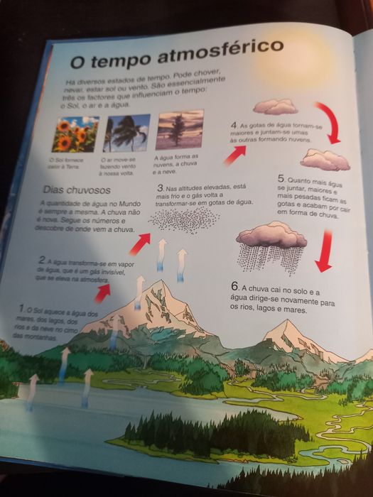 Primeira Enciclopédia da Ciência