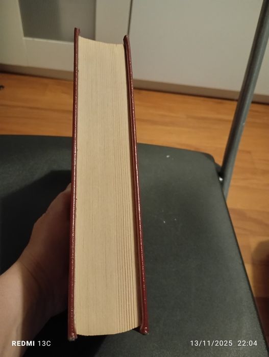 Livro " O vermelho e o negro"