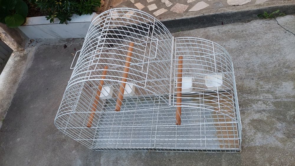 Gaiola para aves papagaio