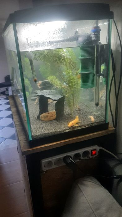 Aquario peixes  EHEIM