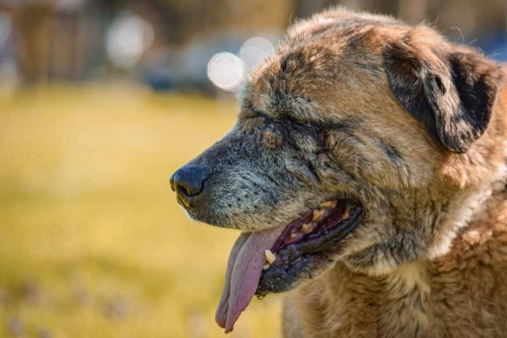 Ciekawska i pogodna Zosia