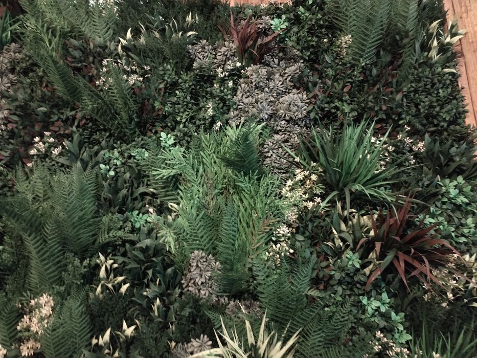 Jardim Vertical de qualidade superior