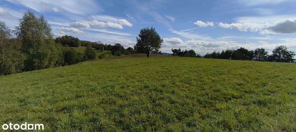 Na sprzedaż widokowa działka 21 arów z pozwoleniem na budowę - Widok 3