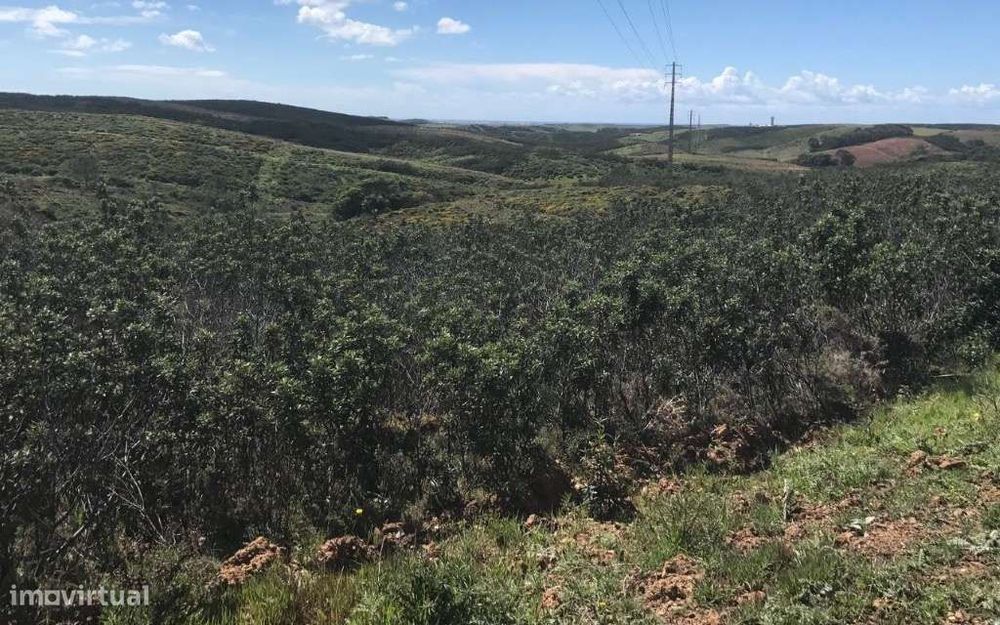 2 Terrenos Rústicos na Raposeira