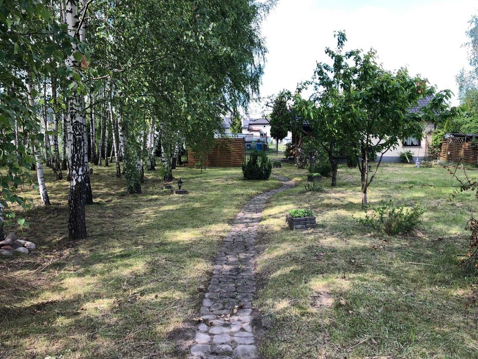 Dom – Zduńska Wola - Więcej