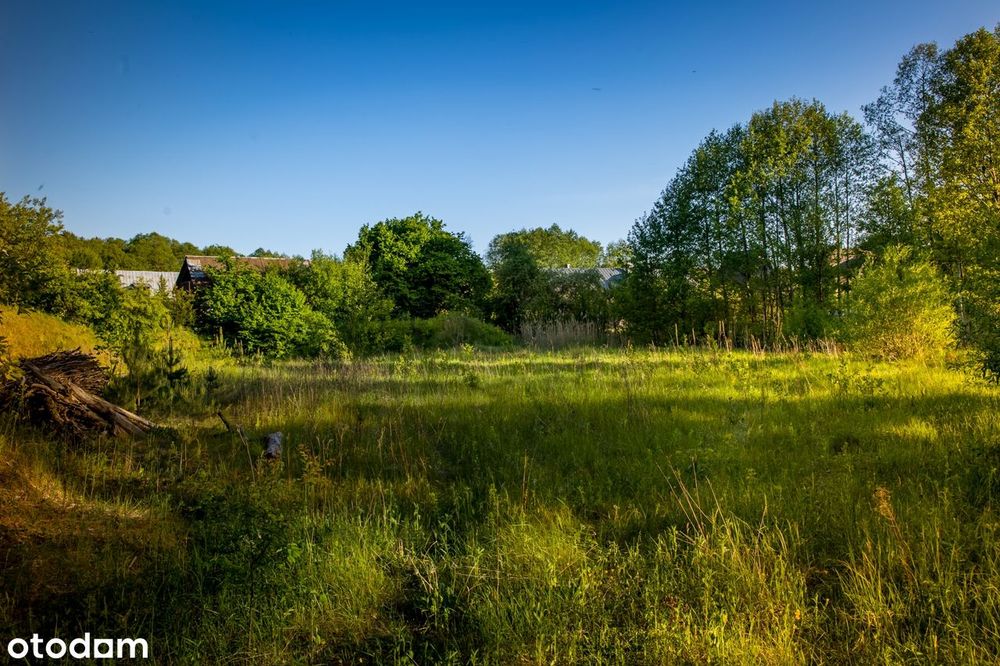 Augustów, linia brzegowa Jezioro Sajenek, budowlana