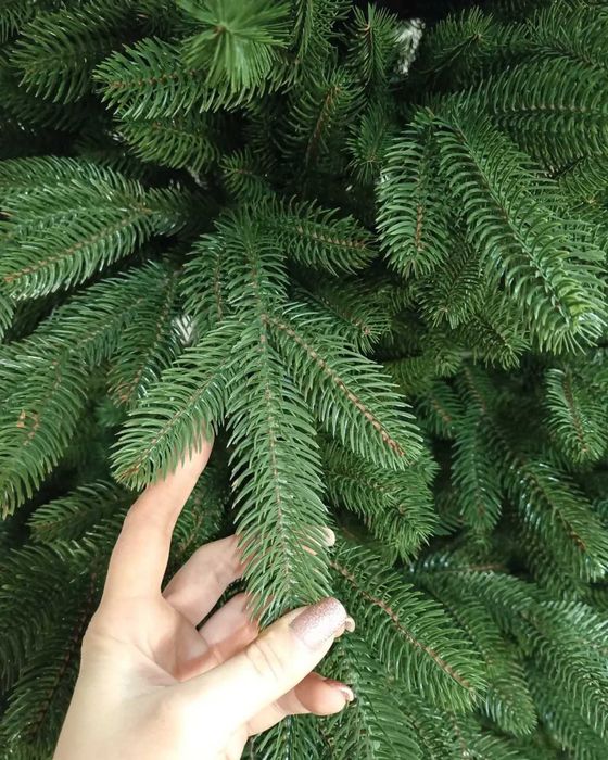 найпишніша ялинка ЛАПЛАНДСЬКА