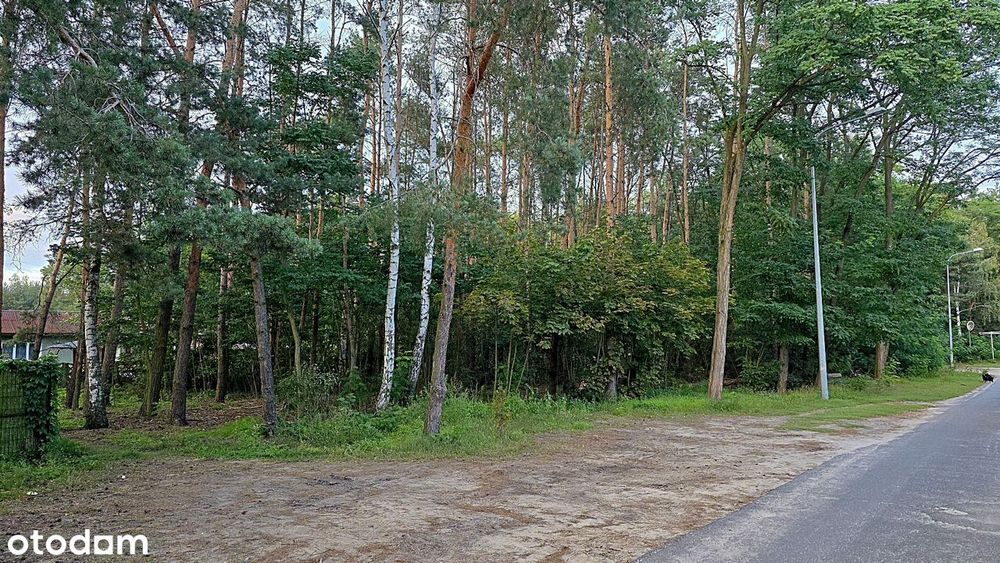 Zdjęcie 2
