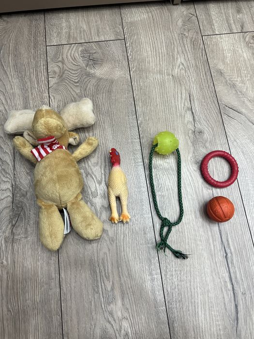 Игрушки для собак