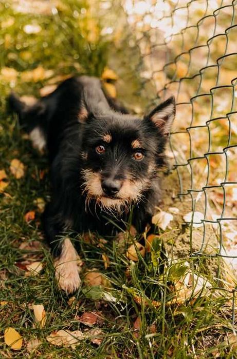 Miki potrzebuje rodziny, która zapewni mu bezpieczeństwo i zrozumienie