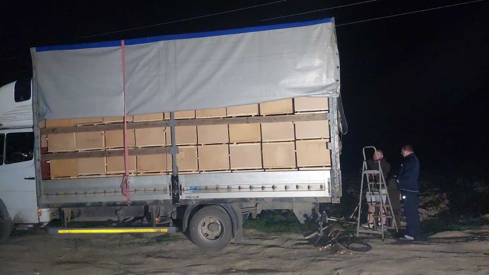 Бджолопакети,пчелопакети