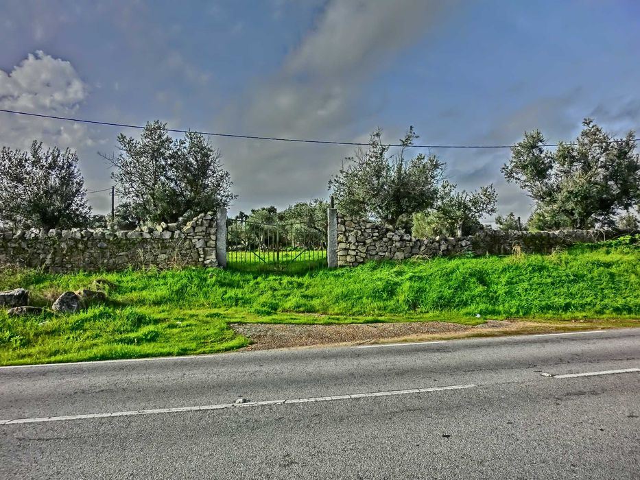 VENDO   OLIVAL  EM  SANTA  EULALIA  ELVAS  ALENTEJO  189 Oliveiras  Centenarias  1 , 175 ha de terreno