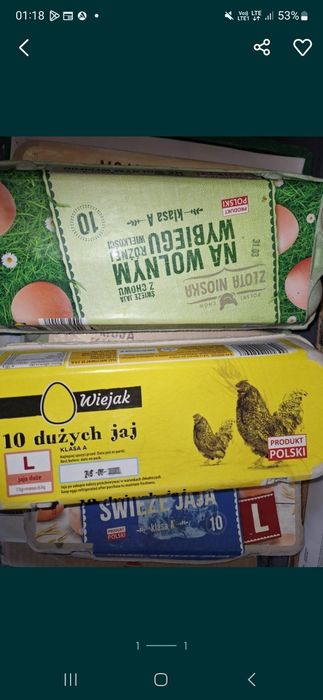 Wytłoczki opakowania na jajka 10szt/10szt