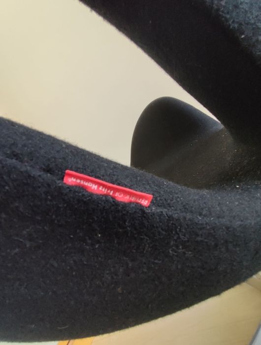 Swan Chair Fritz Hansen by Arne Jacobsen (ler bem descrição)