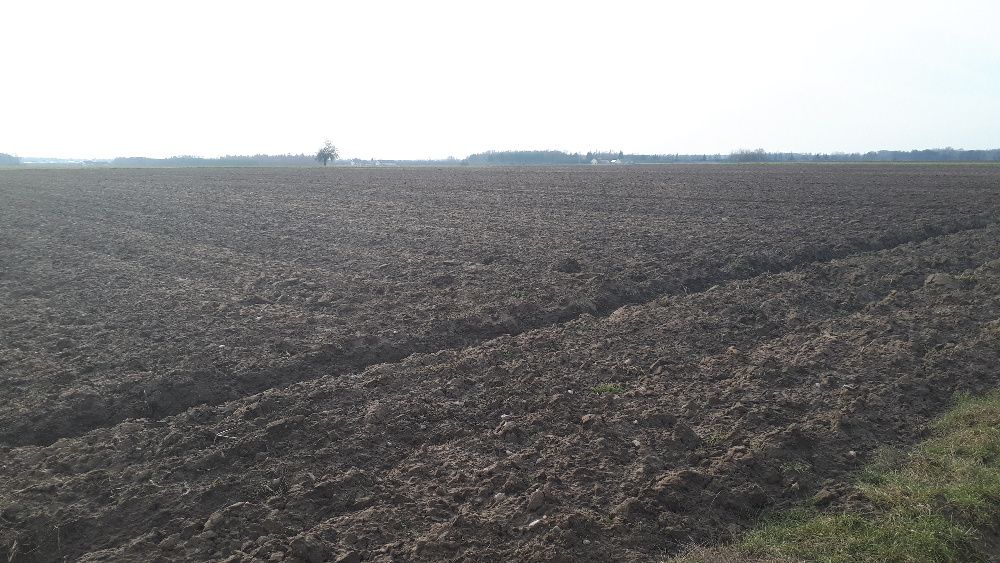 Sprzedam działkę rolną