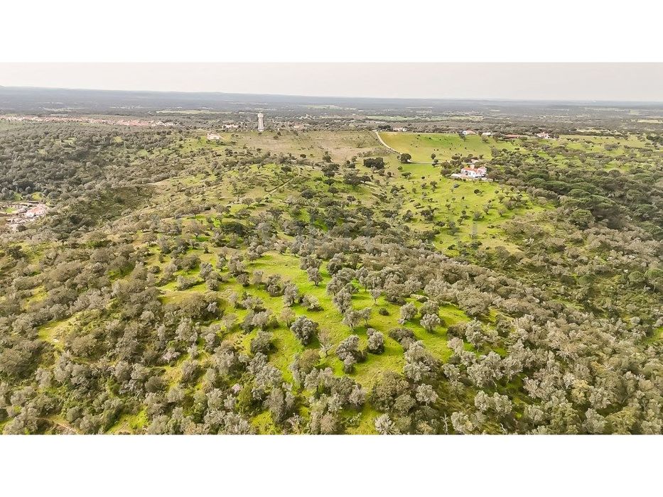 Herdade da Adua | 14 Hectares com Potencial Turístico e Agrícola - ...