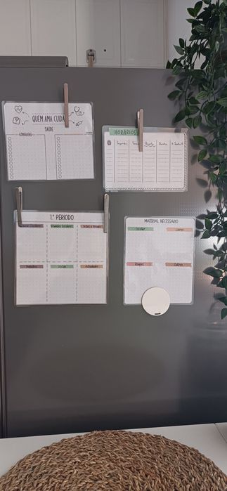 Conjunto organização frigorífico