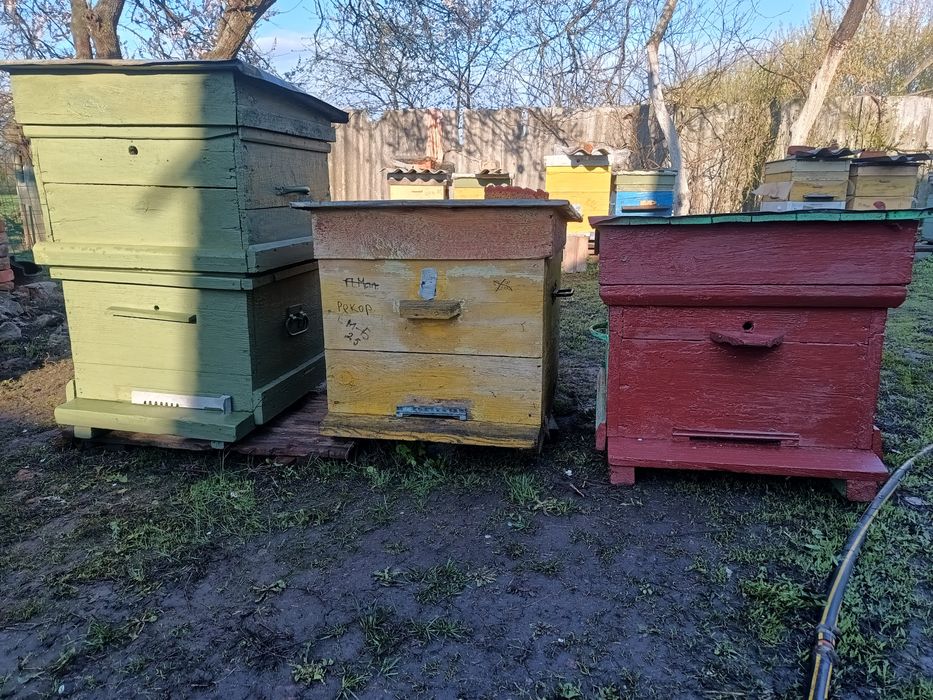 УЛЬИ 12-рамочные додан. Весной ПЧЕЛОПАКЕТЫ с ульями.Продам.