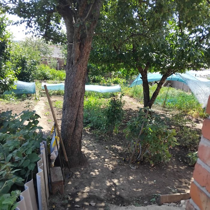 Продам  сдам дом  .срочно  с евро ремонтом