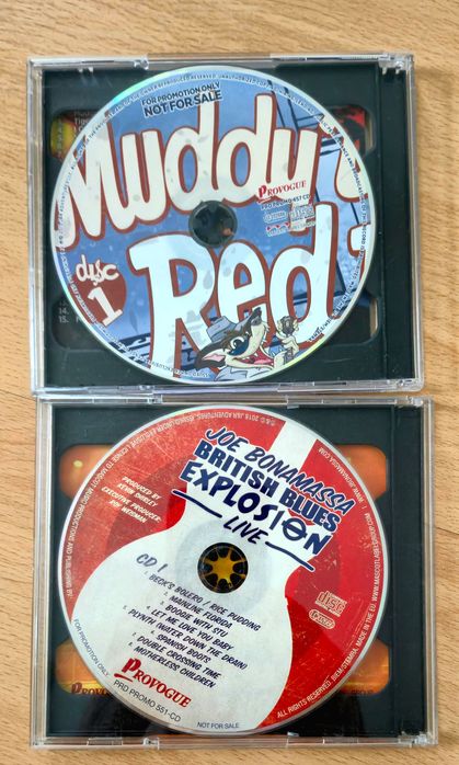 Blues na CD - 45 płyt Bonamassa, Gales, Duarte, Derringer i inni