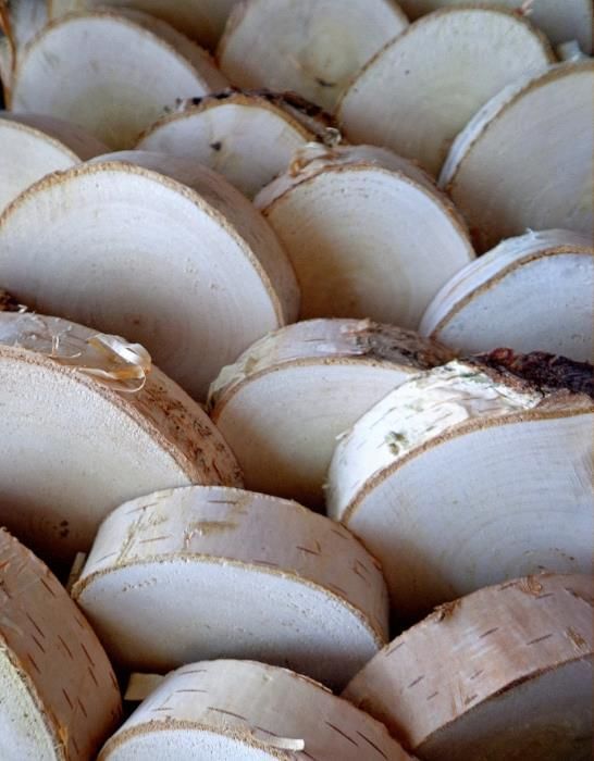 Podstawka pod kubek świecznik Plastry drewna Brzozowe