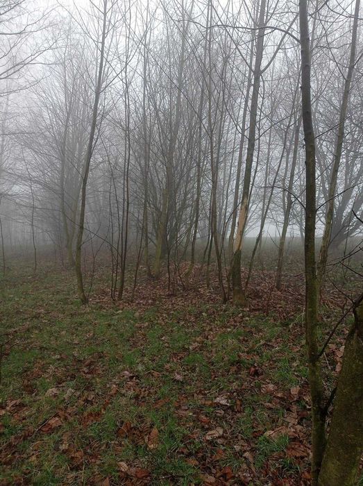 Sprzedam wyjątkową działkę budowlaną z widokiem na Babią Górę – Makowska Góra, Maków Podhalański - Więcej