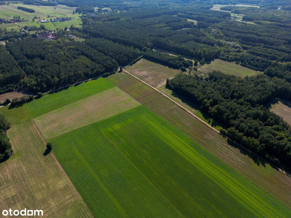 Działki budowlane przy lesie z WZ, 20 minut od Ostrowi Mazowieckiej - Widok 3