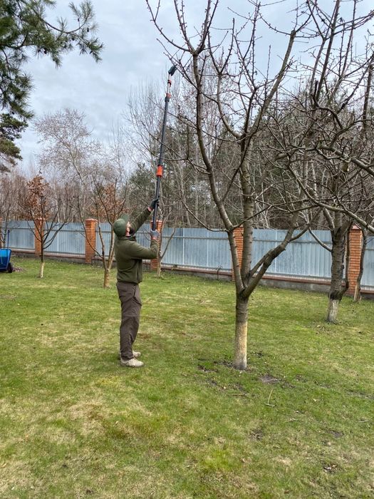 Професійна обрізка саду