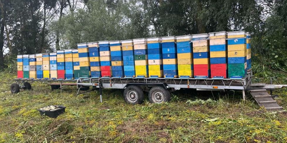 Посіка на колесах