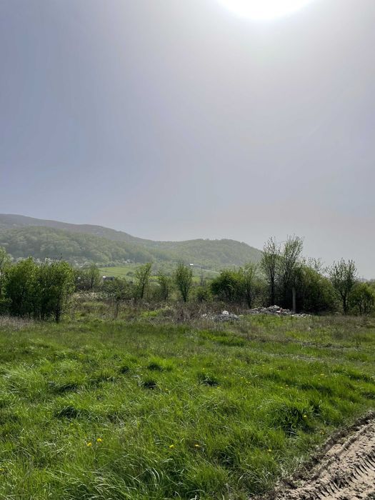 Земля у Виноградові