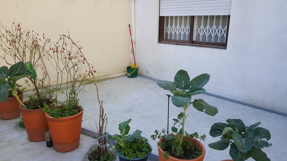 Aluga-se Quarto centro Espinho