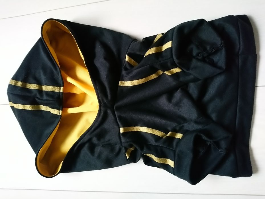 Спортивний батнік з капюшоном для собачки