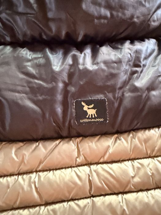 Śpioworek Cottonmoose