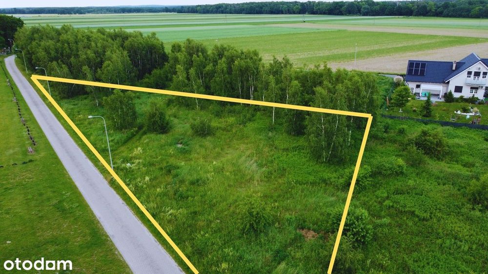 Twój Dom Pod Oleśnicą - Działka 1851 M2 - View 5