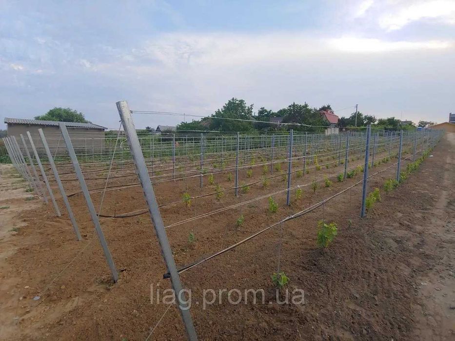 Виноградний стовпчик,оцинк. (опора, столбик) Fructus Z5, 2.4m, 1.5mm