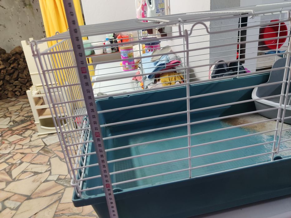 Gaiola grande roedores