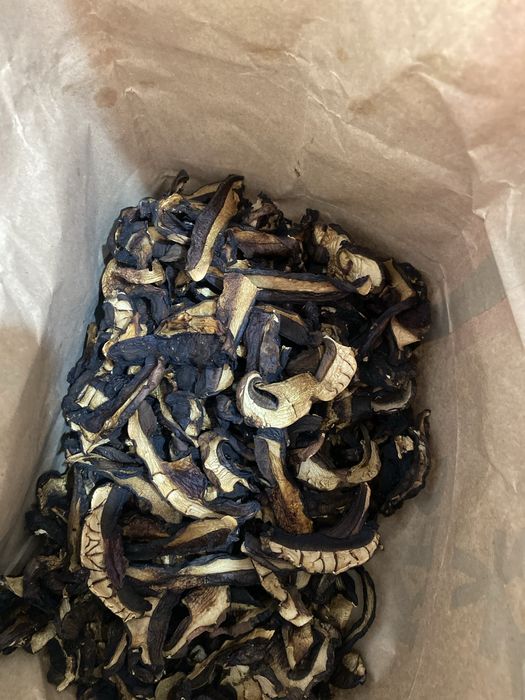Borowik ceglastopory