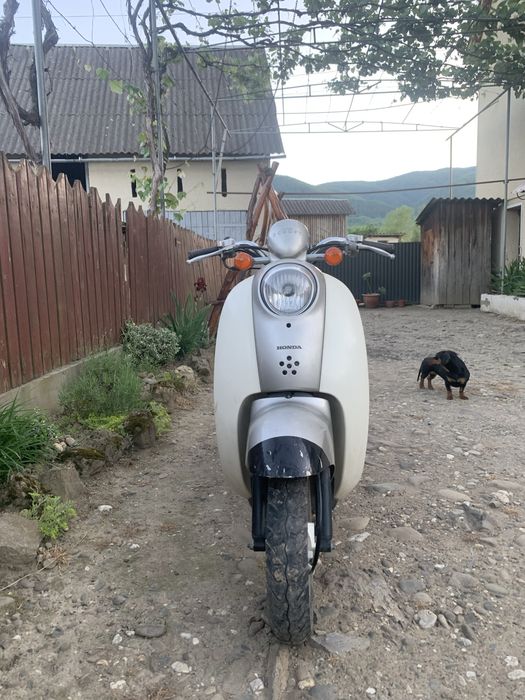 Honda crea scoopy af-55
