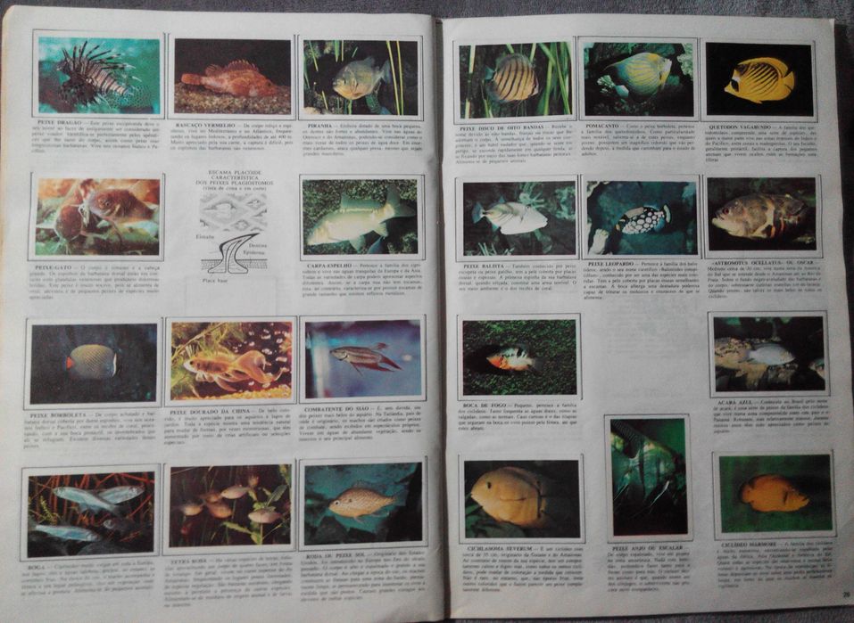 Caderneta - Coleção da Natureza (Completa)64284849907586122