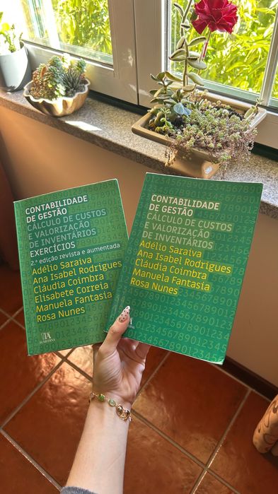 livros de contabilidade de gestão
