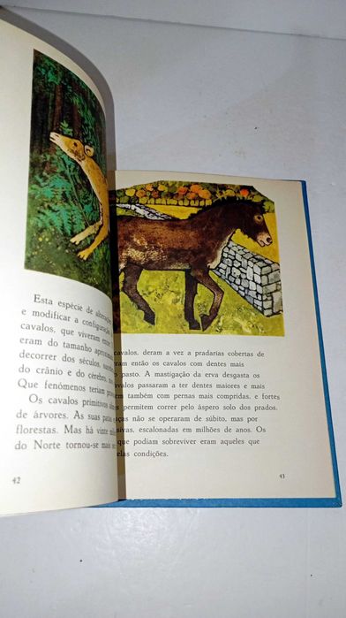 O Mundo dos Seres Vivos - Vamos Aprender