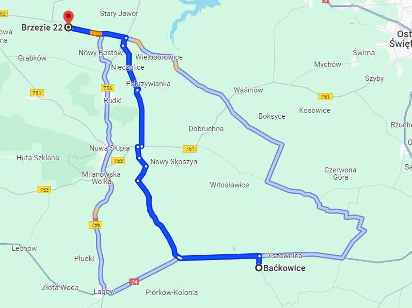 Kury, Kurczęta odchowane - 18 tygodni